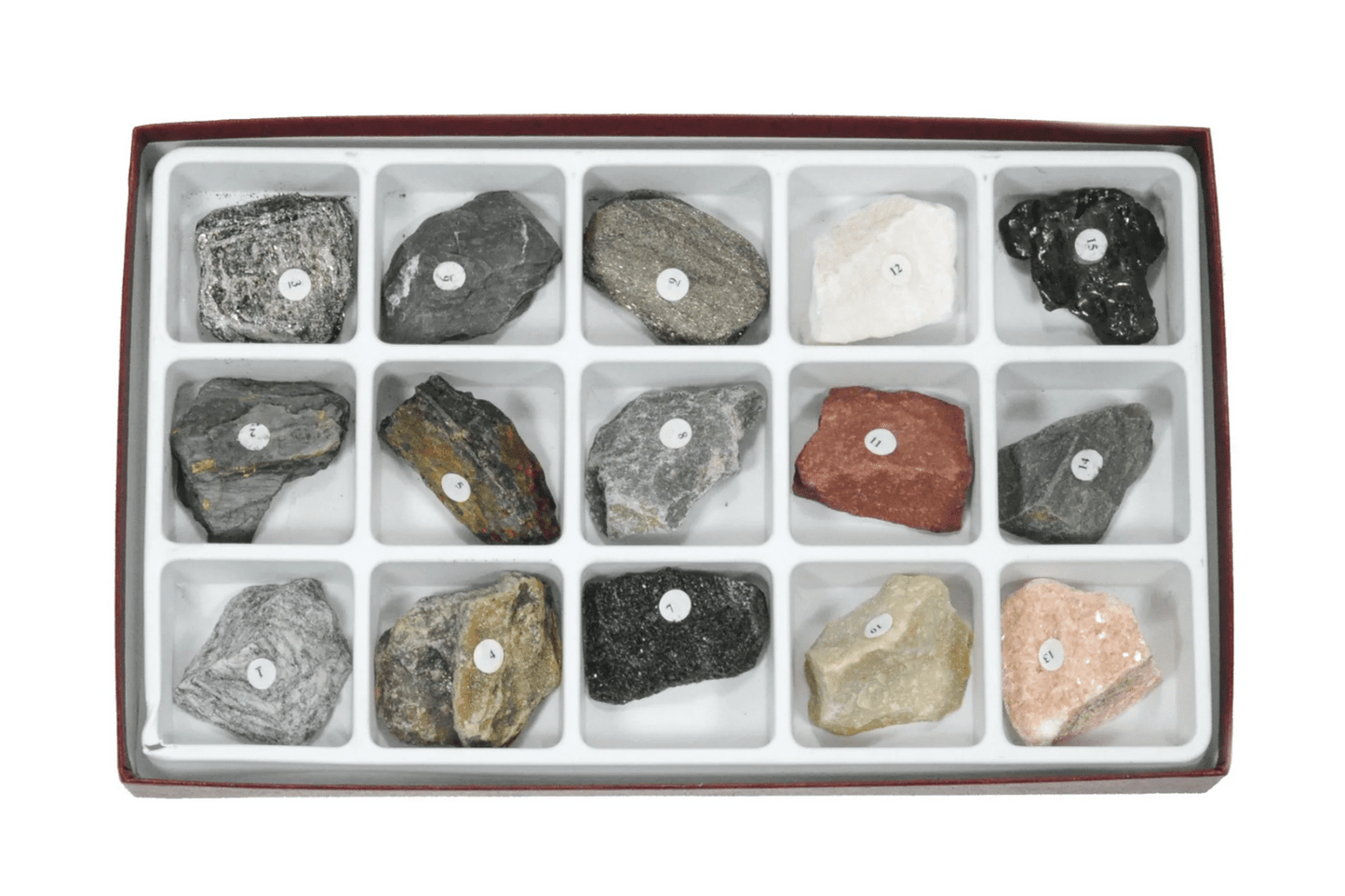 Arbor Scientific Metamorphic Rock Collection, 15 Specimens