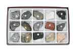 Metamorphic Rock Collection, 15 Specimens