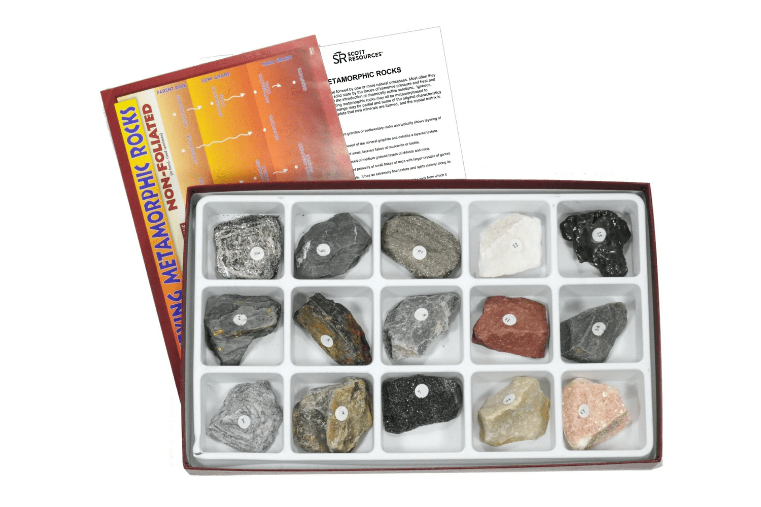 Arbor Scientific Metamorphic Rock Collection, 15 Specimens