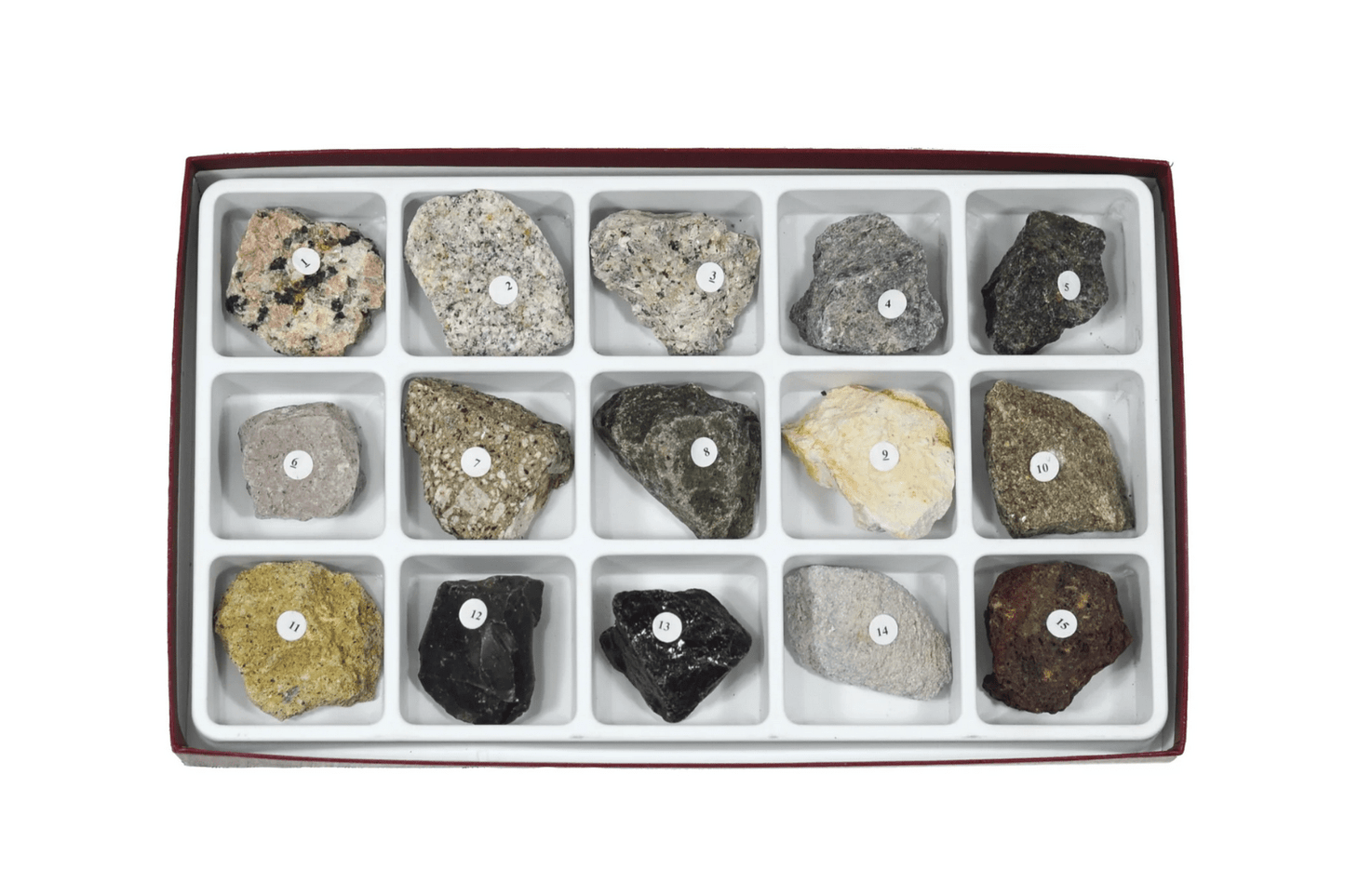 Arbor Scientific Igneous Rock Colleciton, 15 Specimens