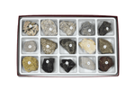 Igneous Rock Collection, 15 Specimens