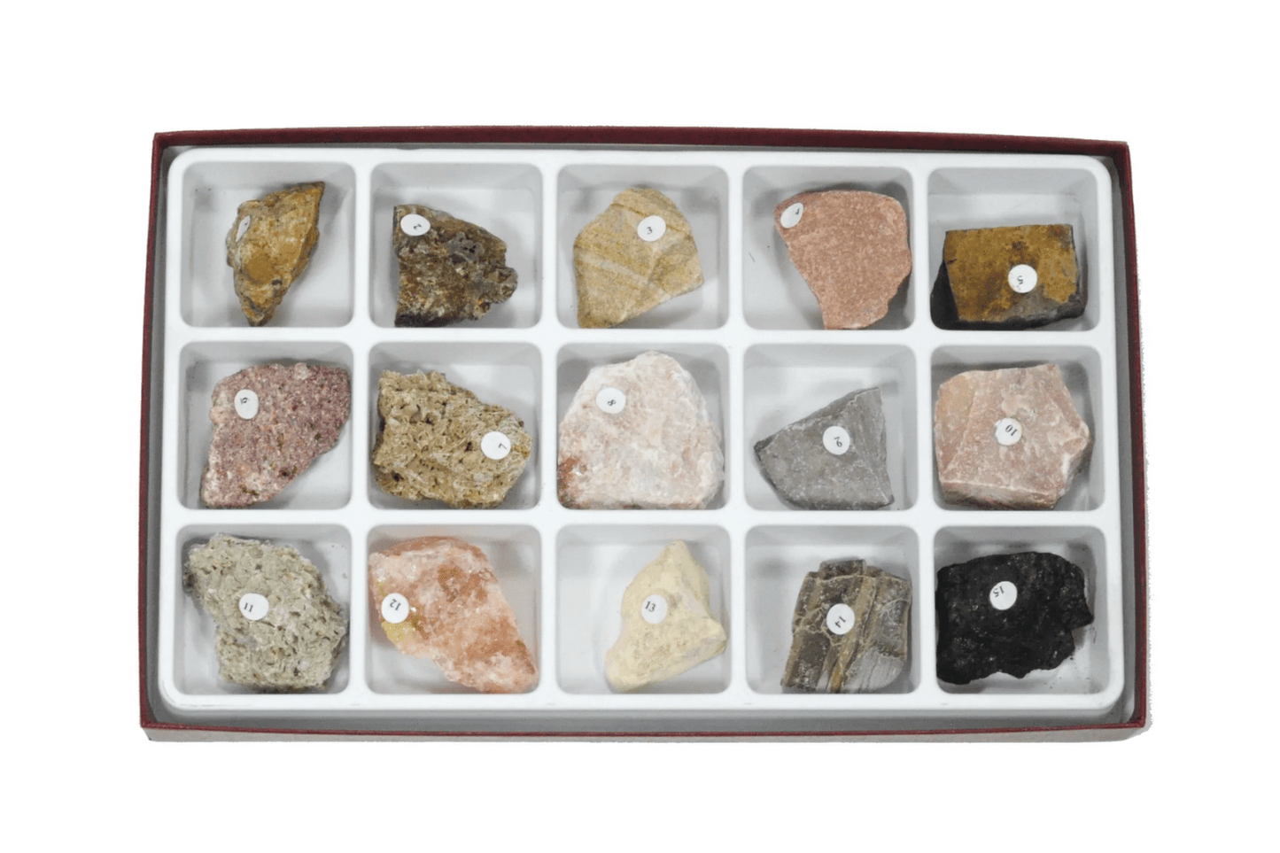 Arbor Scientific Sedimentary Rock Collection, 15 Specimens