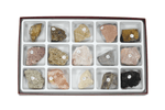 Sedimentary Rock Collection, 15 Specimens