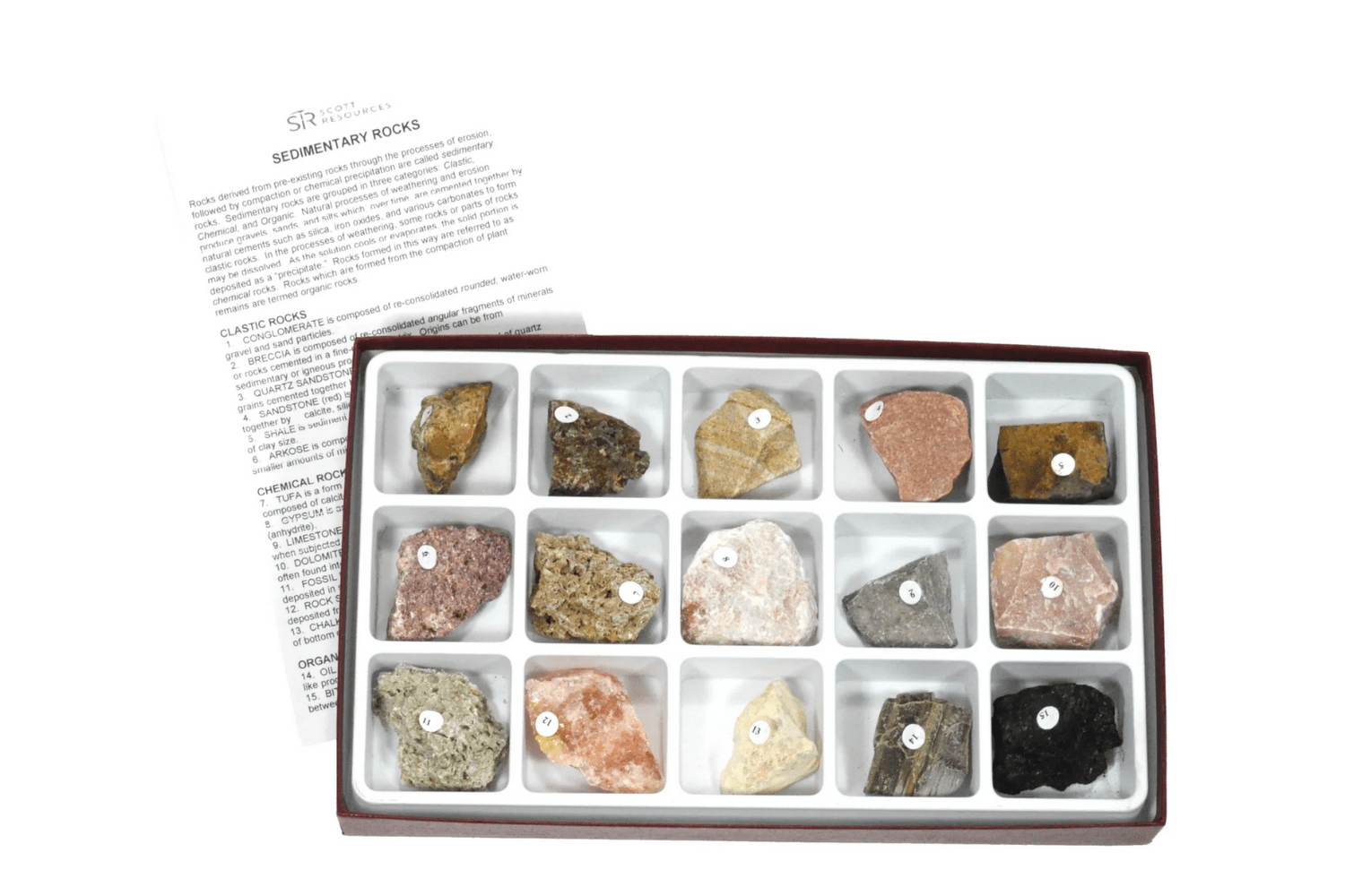 Arbor Scientific Sedimentary Rock Collection, 15 Specimens