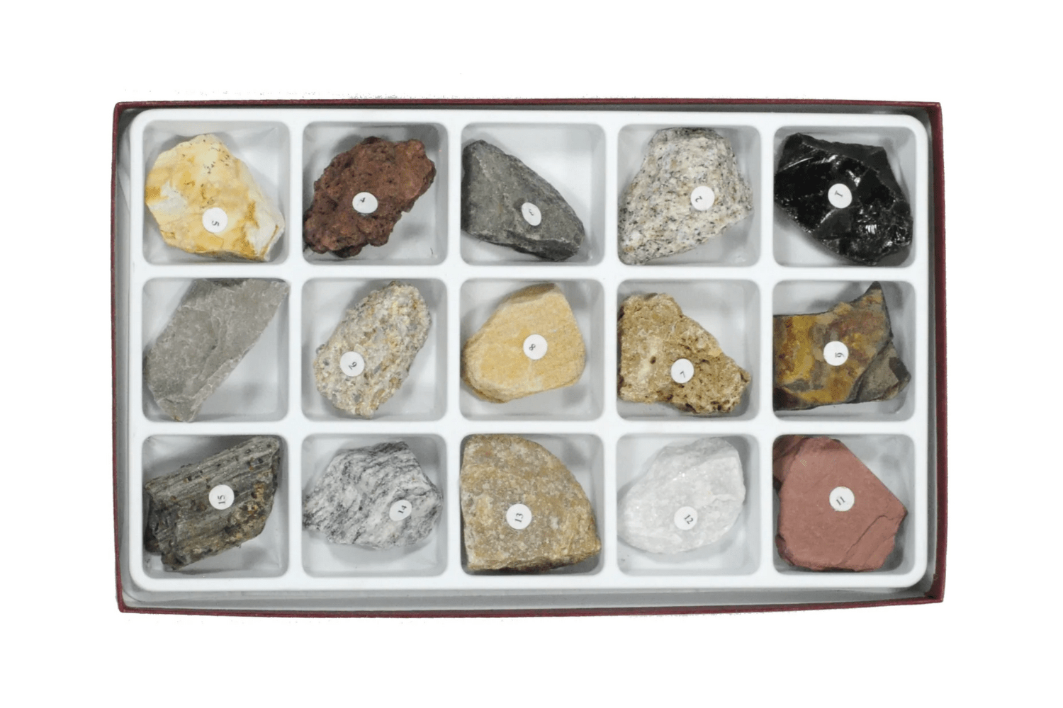 Arbor Scientific Introductory Rock Collection