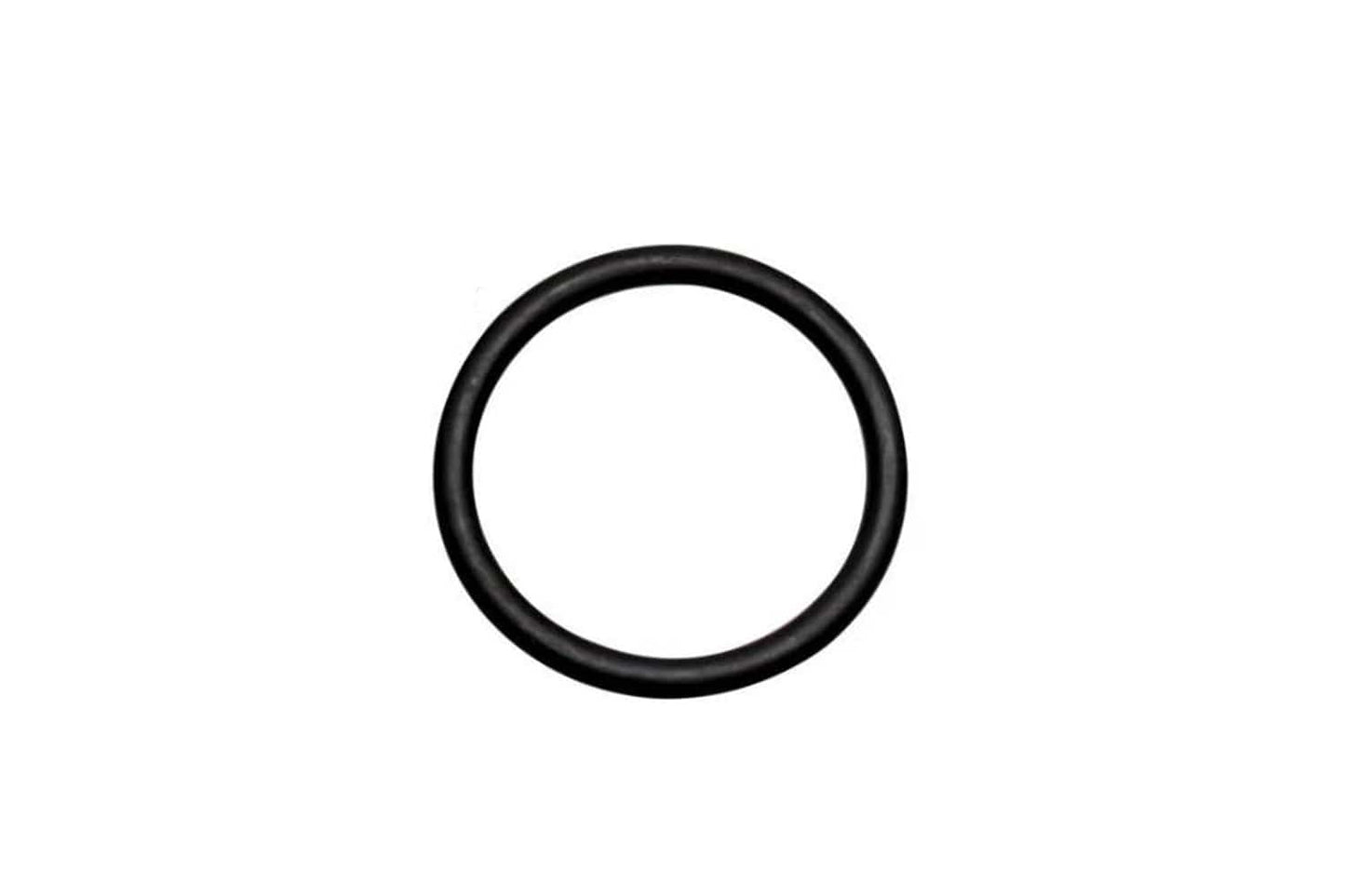 Arbor Scientific Replacement Drive Belt for Van de Graaff Generator, 400 kV