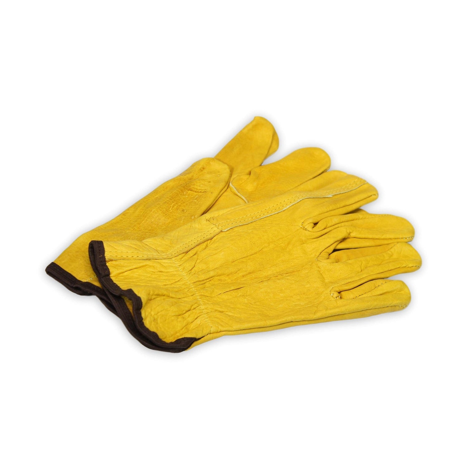 Arbor Scientific Leather Gloves