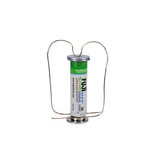 Arbor Scientific Homopolar Motor Kit, 10/Pk