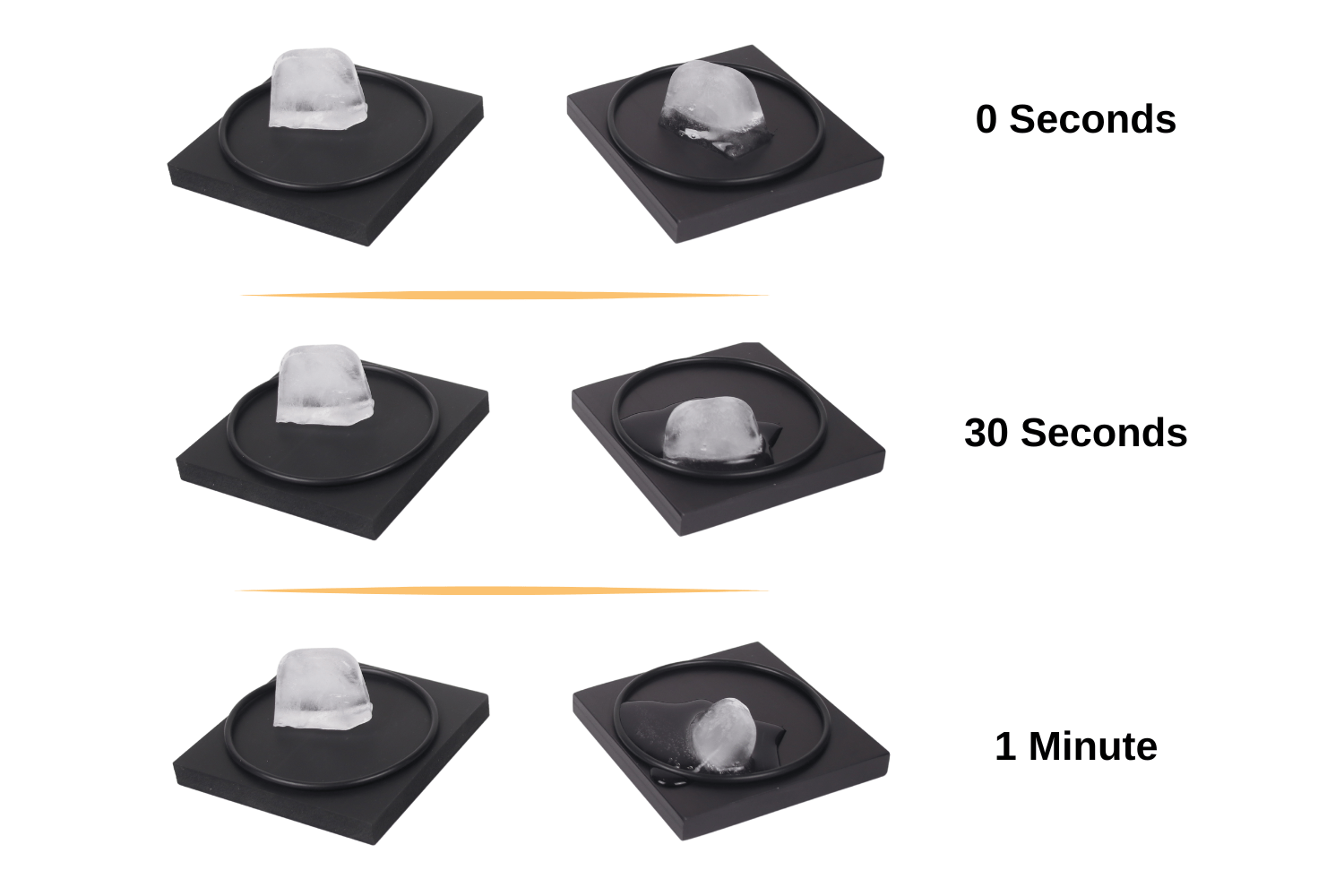 Arbor Scientific Ice Melting Blocks