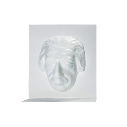 Arbor Scientific Einstein Alive