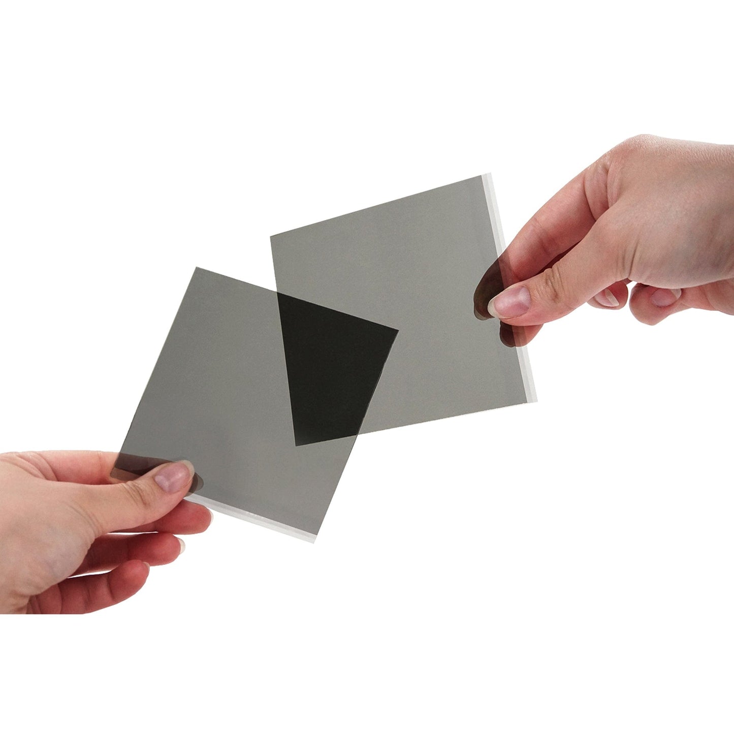 Arbor Scientific Polarizing Filters 50mm X 50mm (20/pack)