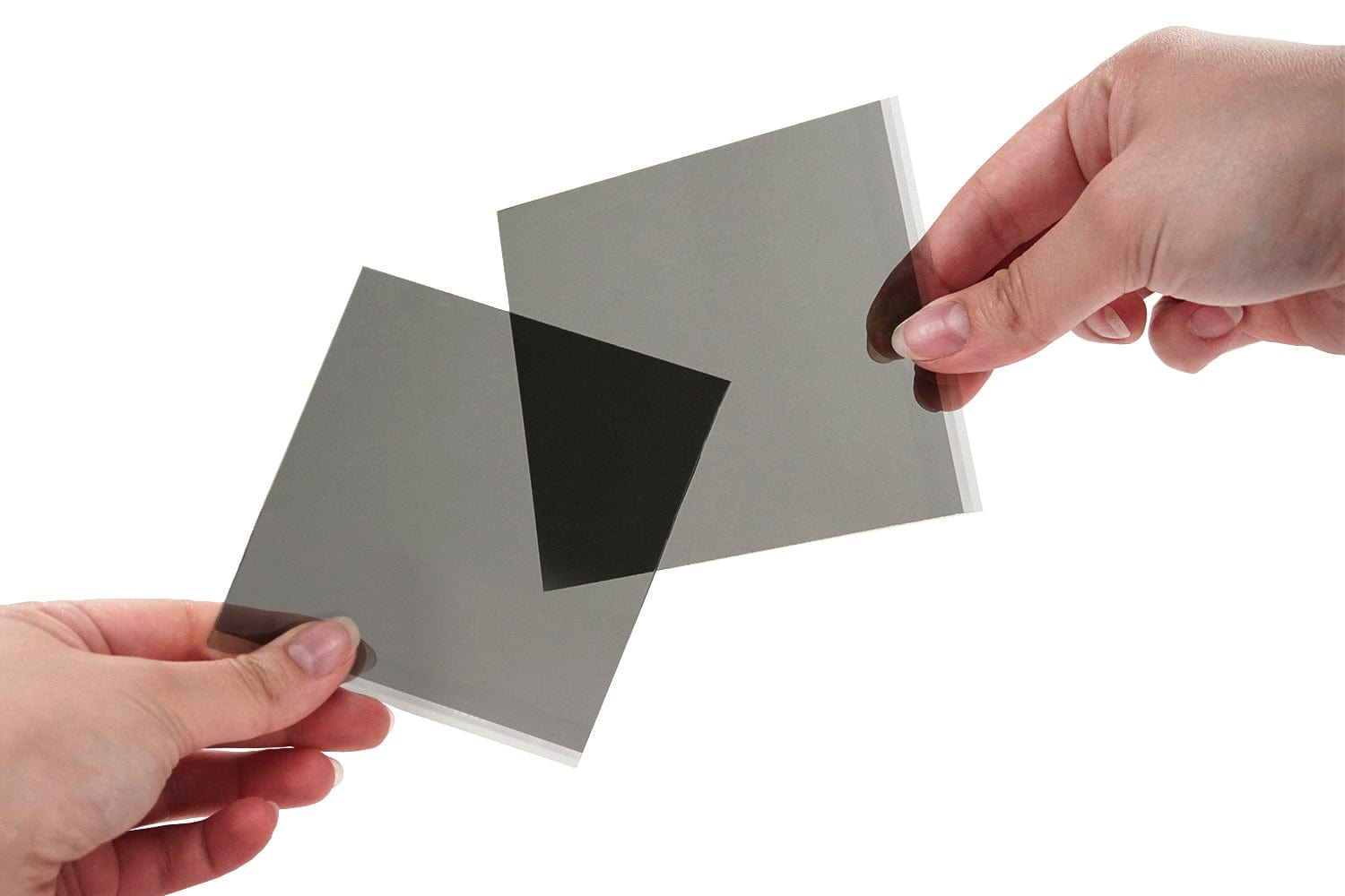 Arbor Scientific Polarizing Filters 50mm X 50mm (20/pack)