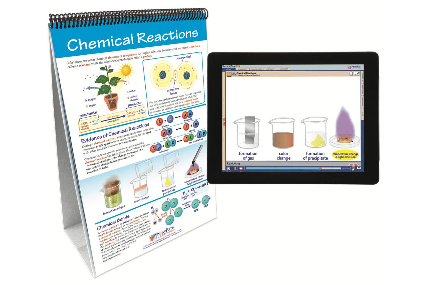 Arbor Scientific Chemical Reactions Flip Chart Set With Online Multimedia Lesson