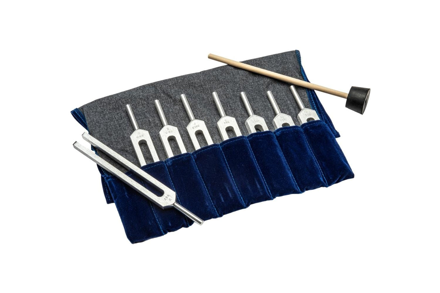 Arbor Scientific Complete Set of Tuning Forks