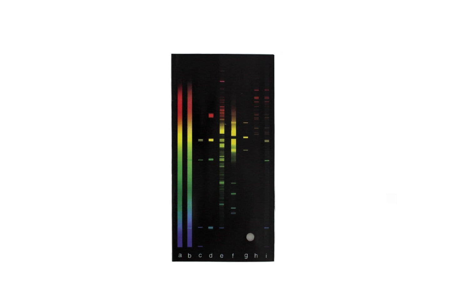 Arbor Scientific Night Spectra Quest