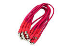 Red Magleads, 12