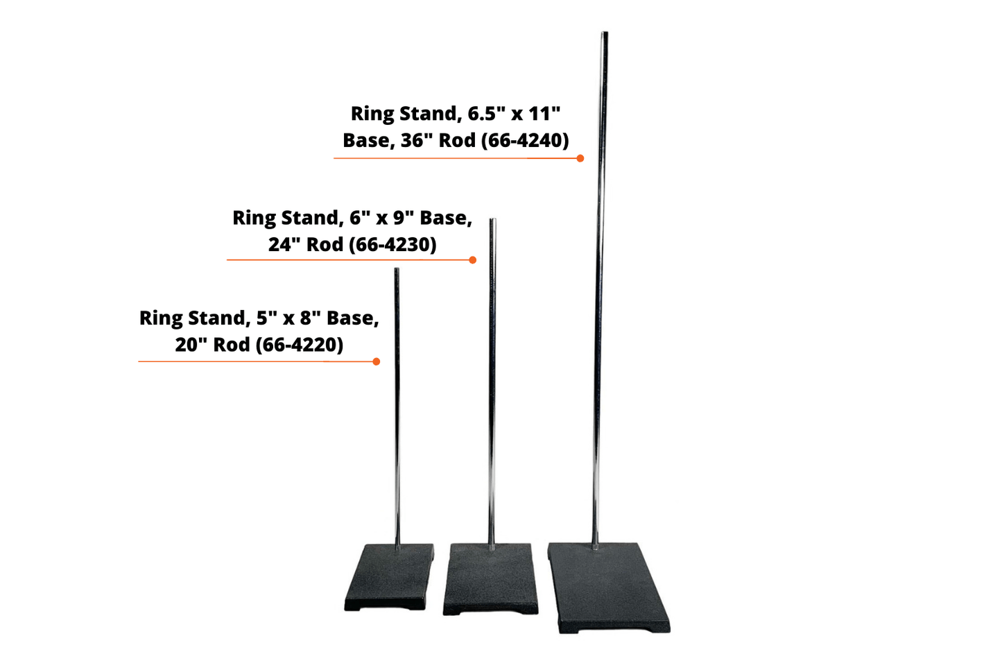 Arbor Scientific Ring Stand, 5" x 8" Base, 20" Rod