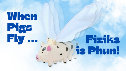 When Pigs fly physics is fun image