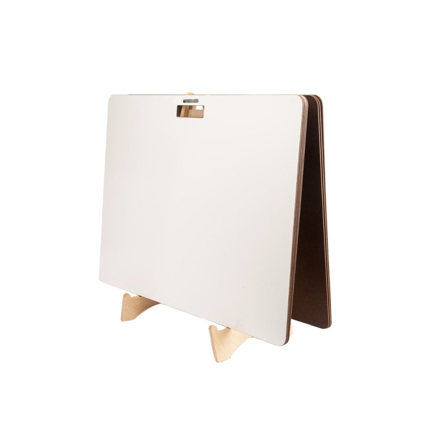 Arbor Scientific Whiteboard Storage/Presentation Easel