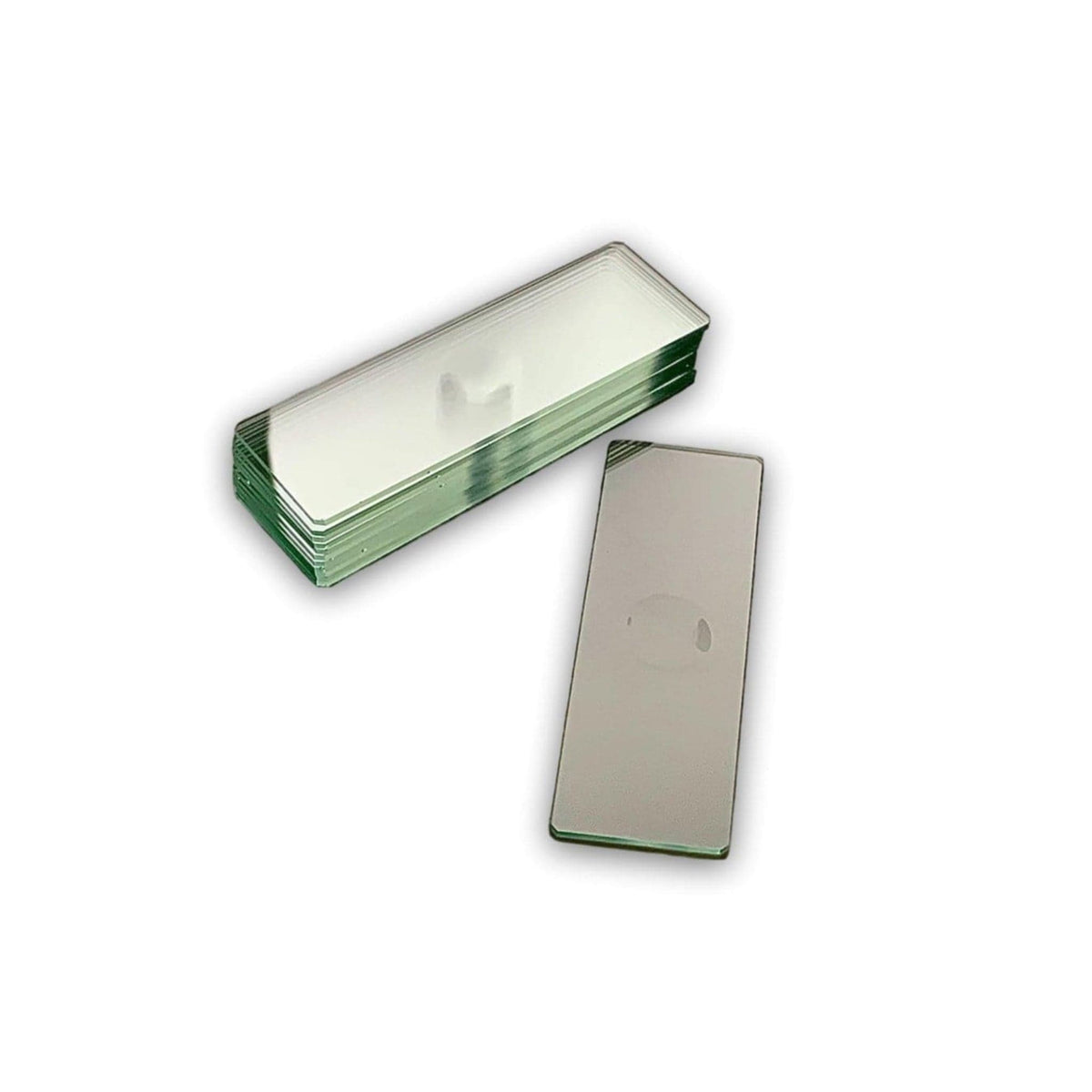 Concave Microslides, 12 Pack - Arbor Scientific