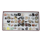 Arbor Scientific Classroom Collection of Rocks & Minerals