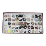 Classroom Collection of Rocks & Minerals