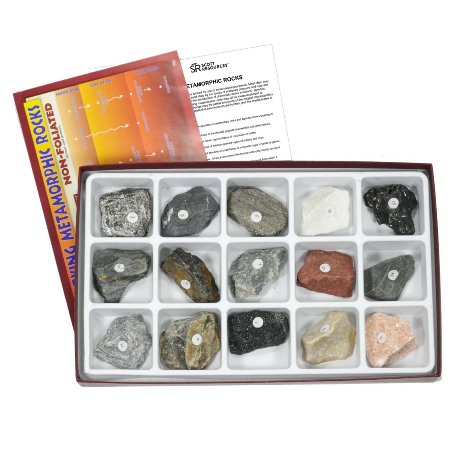 Arbor Scientific Metamorphic Rock Collection, 15 Specimens