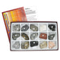 Arbor Scientific Metamorphic Rock Collection, 15 Specimens