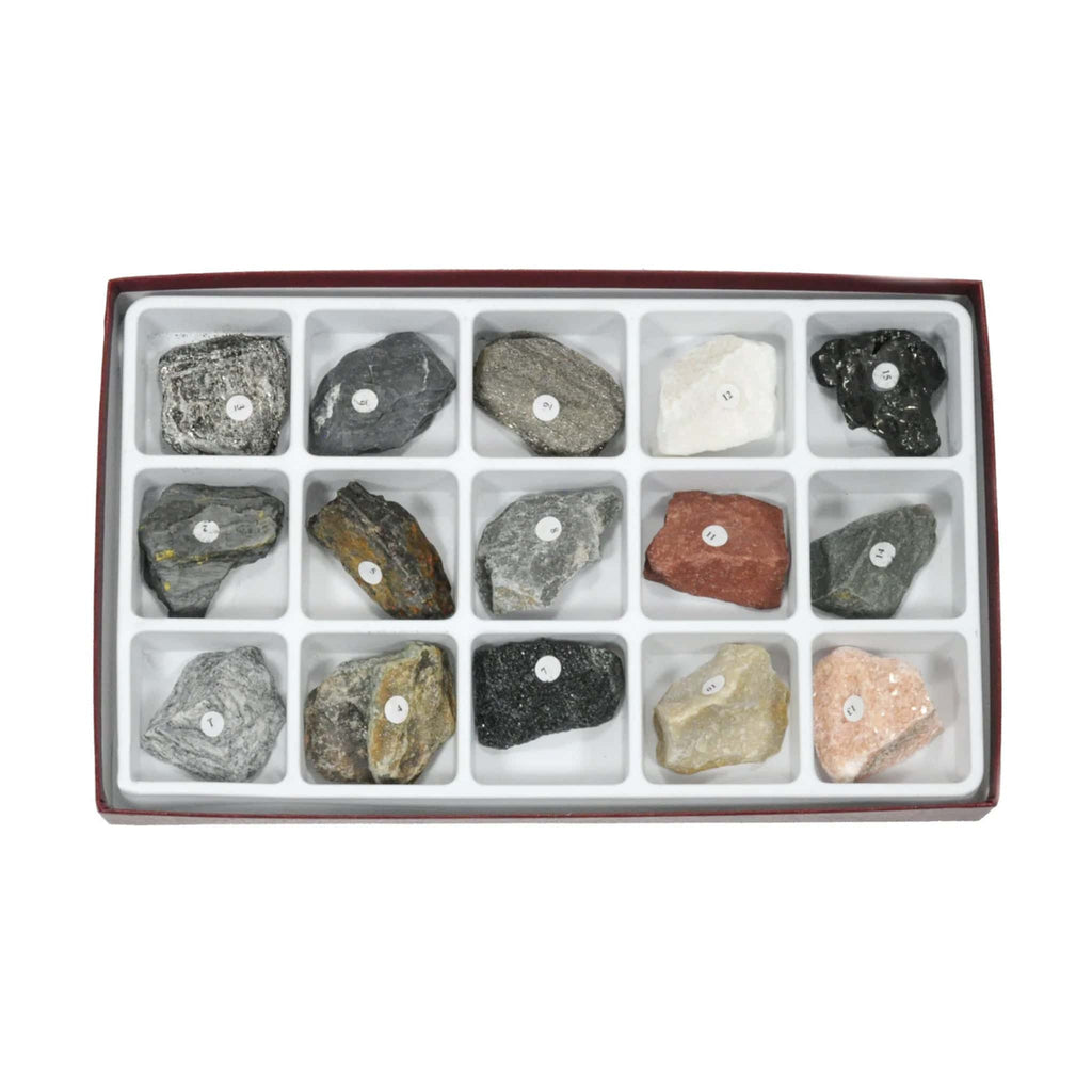 Arbor Scientific Metamorphic Rock Collection, 15 Specimens