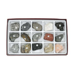 Metamorphic Rock Collection, 15 Specimens