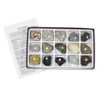 Arbor Scientific Igneous Rock Collection, 15 Specimens