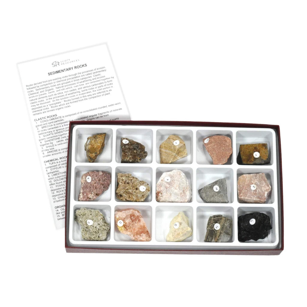 Sedimentary Rock Collection, 15 Specimens – Arbor Scientific