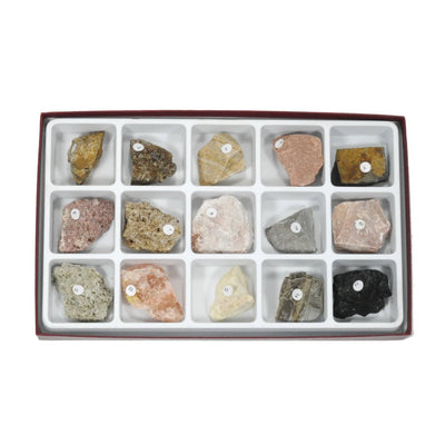 Arbor Scientific Sedimentary Rock Collection, 15 Specimens