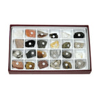Arbor Scientific Rocks and Rock Forming Mineral Collection