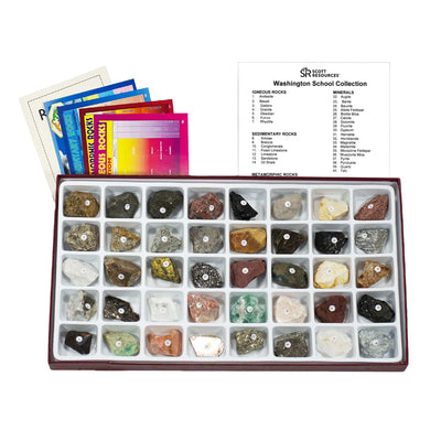 Arbor Scientific Washington School Collection - 40 specimens