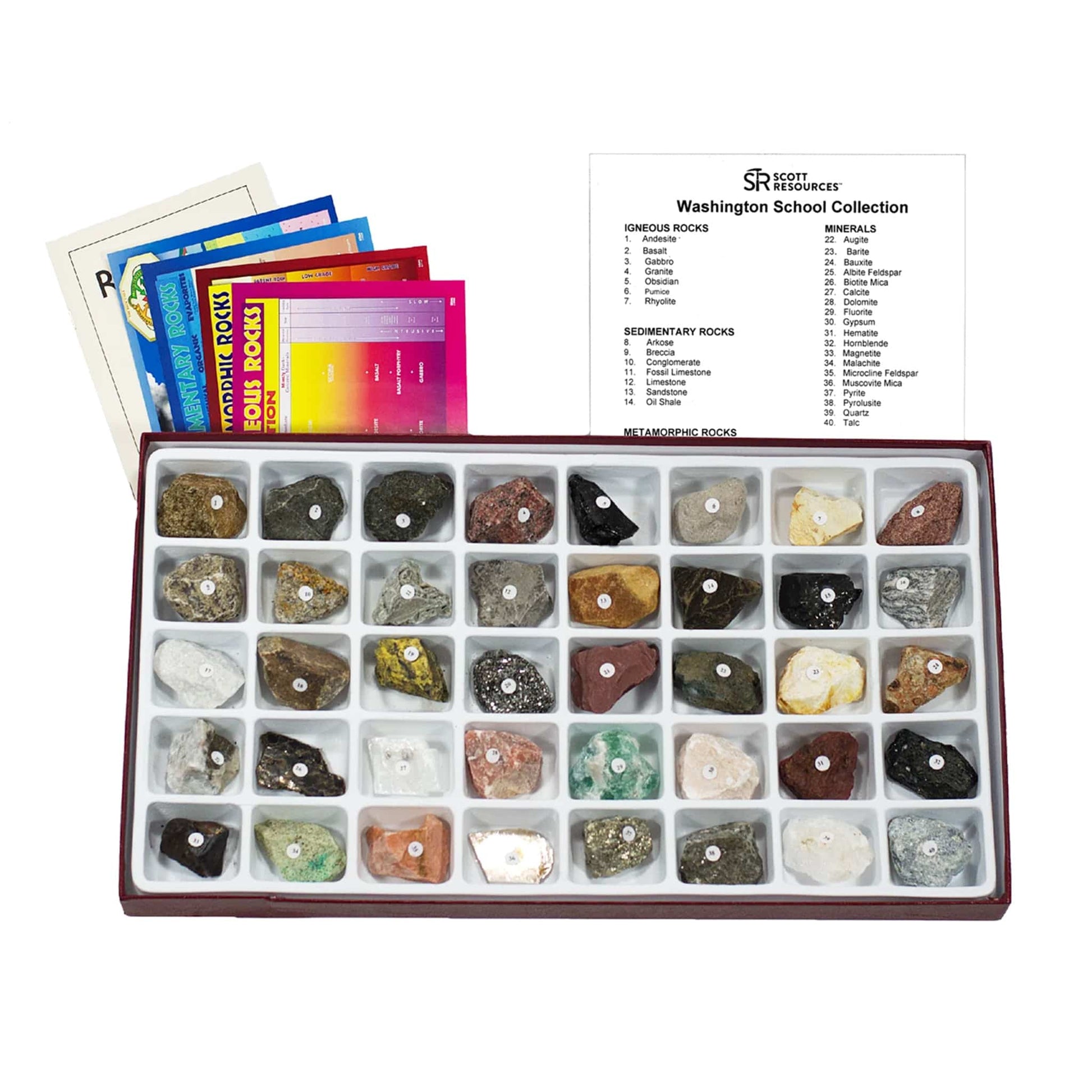 Arbor Scientific Washington School Collection - 40 specimens