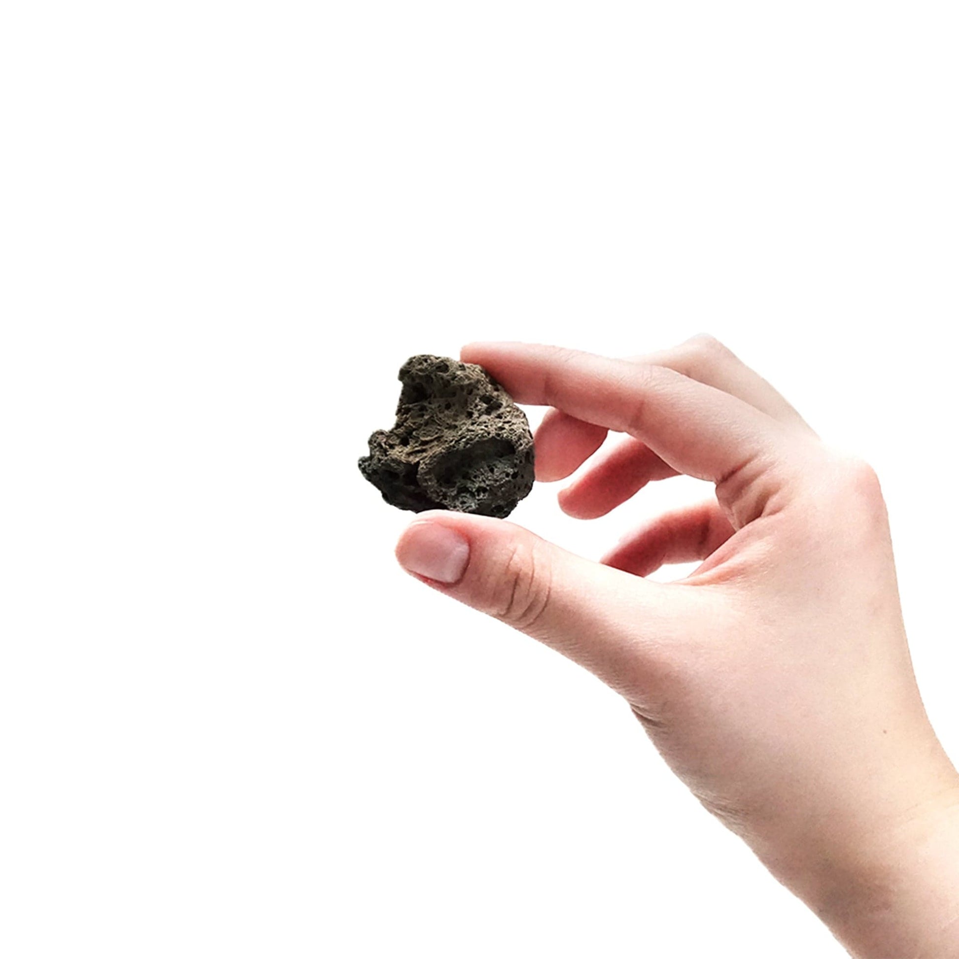 Arbor Scientific Pumice, 10/pk