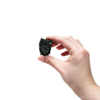 Arbor Scientific Coal, Bituminous, 10/pk