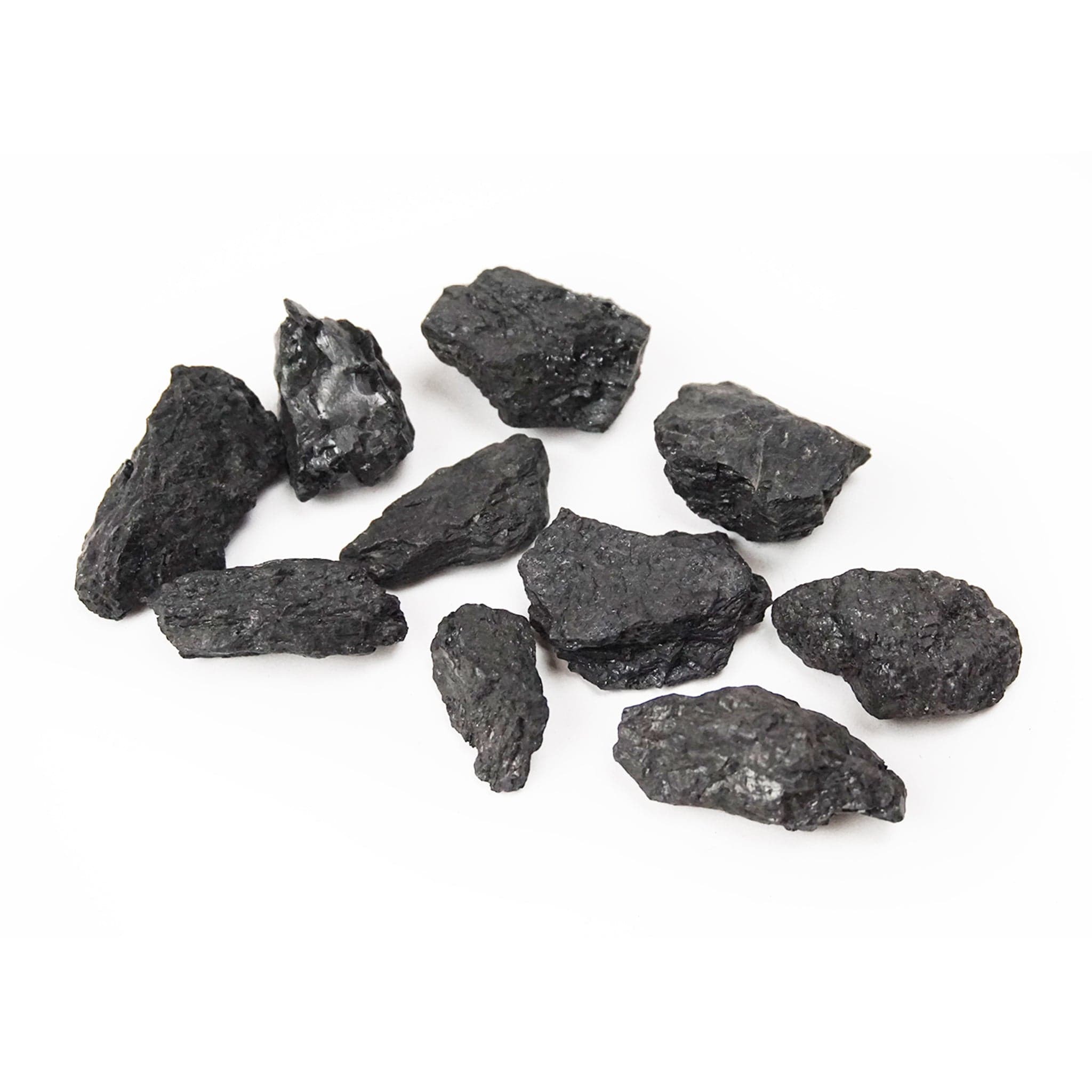 Arbor Scientific Coal, Bituminous, 10/pk