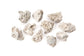 Arbor Scientific Limestone Fossil, 10/pk