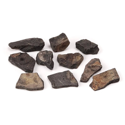 Arbor Scientific Shale, 10/pk