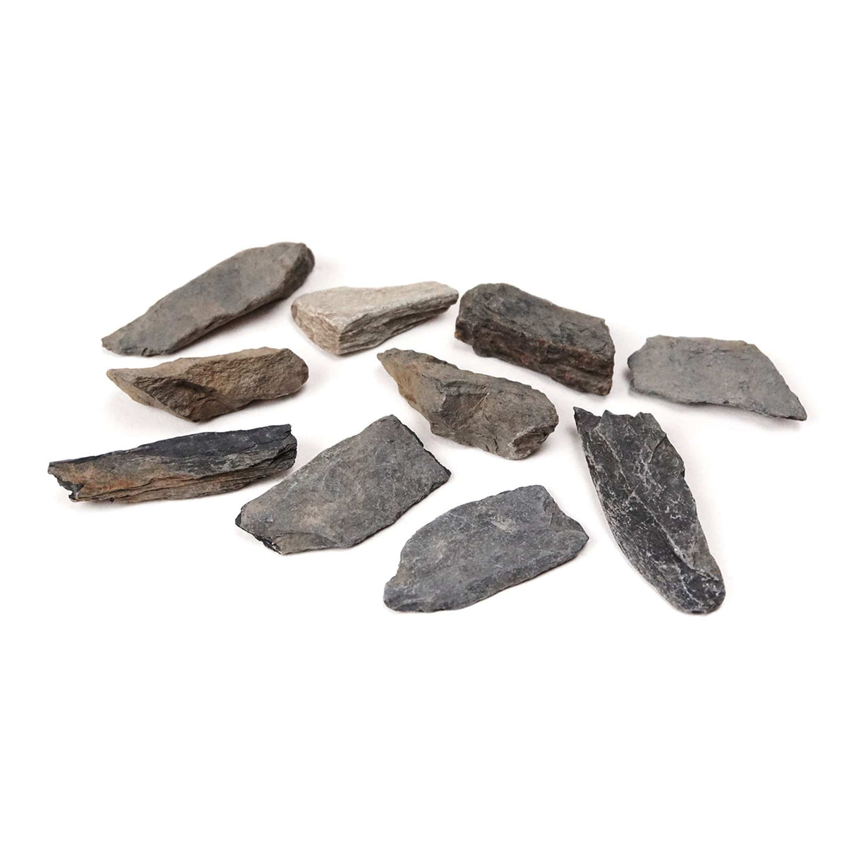 Slate Science Slate, 10/pk – Arbor Scientific