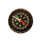 Arbor Scientific Compass
