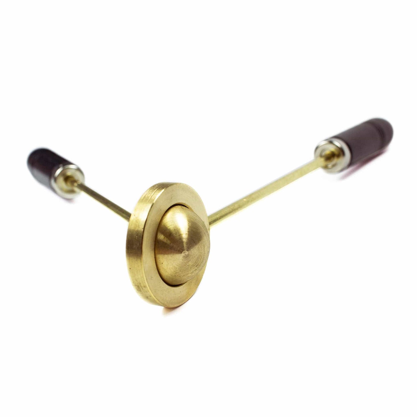 Arbor Scientific Ball and Ring Apparatus