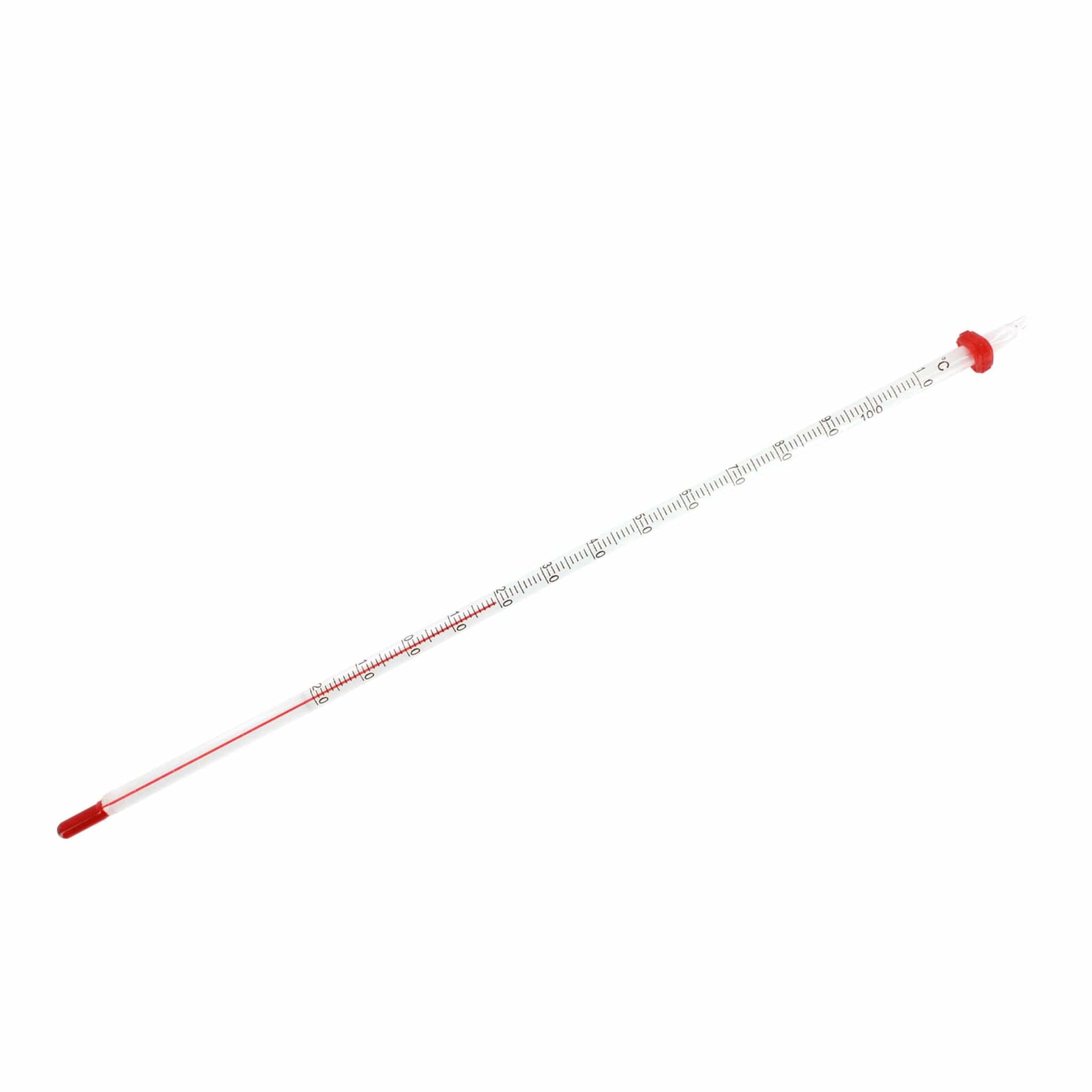 Arbor Scientific Student Thermometer