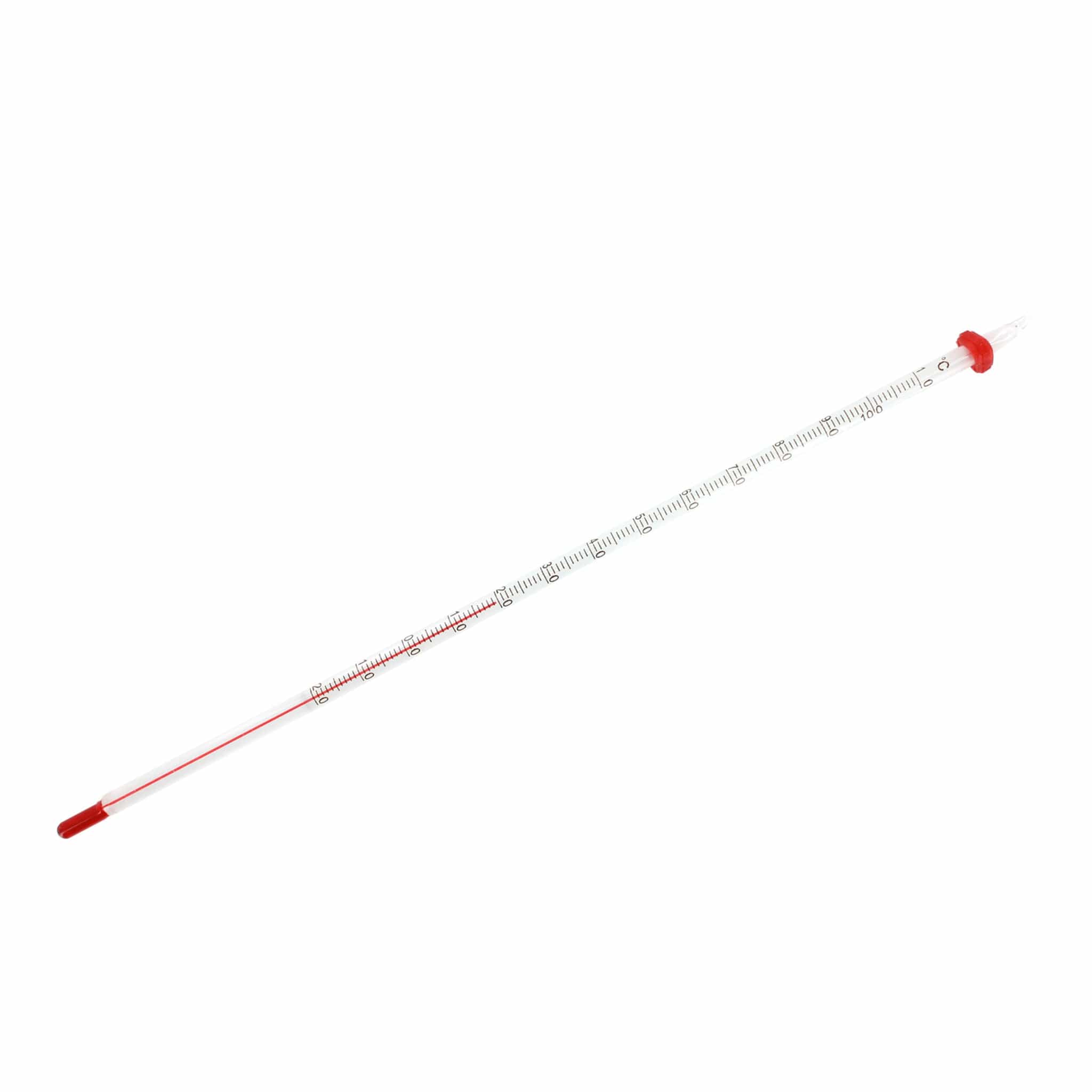 Arbor Scientific Student Thermometer