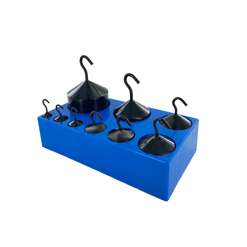 Arbor Scientific Hooked Mass Set of 9