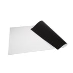 Arbor Scientific Magnetic Receptive Mat