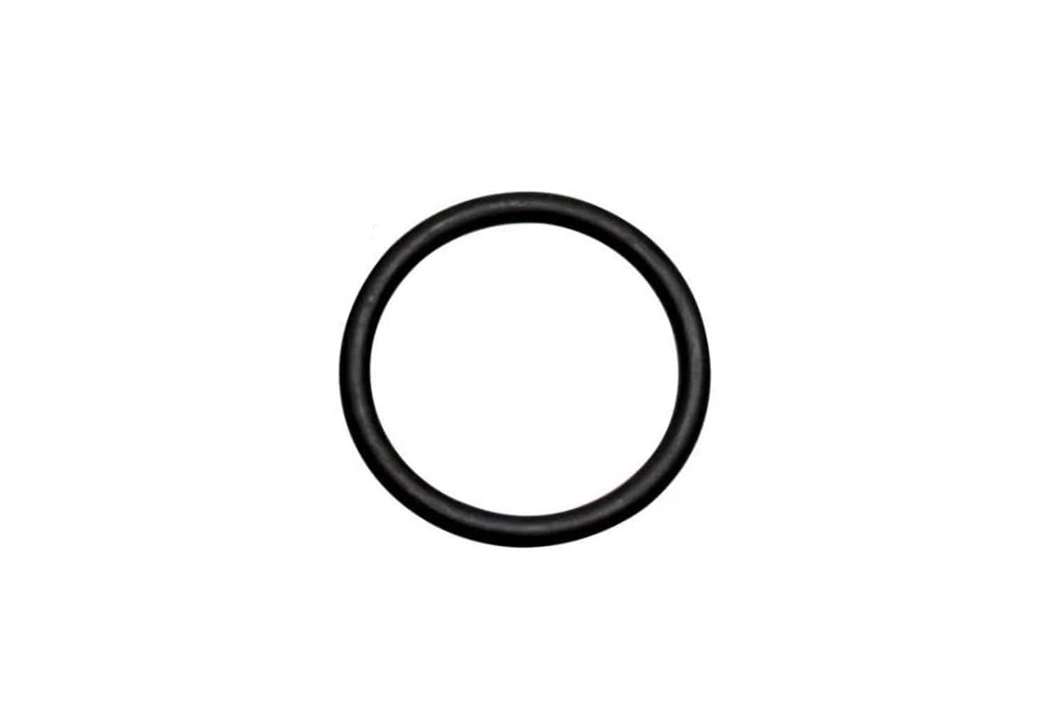 Arbor Scientific Replacement Drive Belt for Van de Graaff Generator, 400 kV