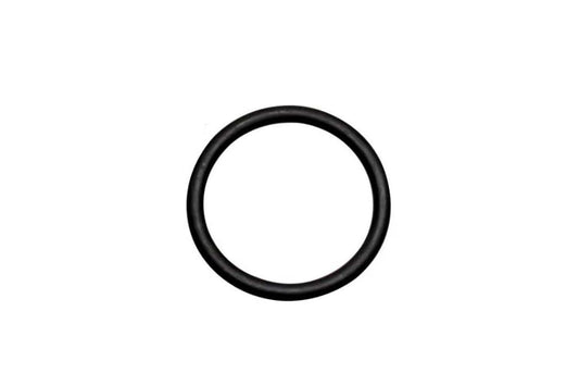 Arbor Scientific Replacement Drive Belt for Van de Graaff Generator, 400 kV